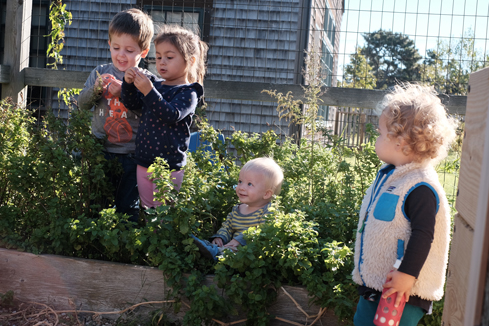Young Children Learning in the Garden